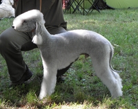 father: Beryl Garden Calypsa