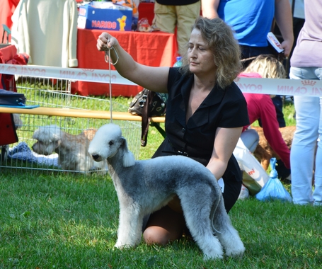 Jajla Garden Calypsa